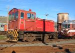 Tr156.JPG