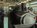 wf393-1.JPG