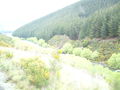 Picture_080.jpg