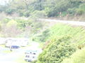 Filename=Picture_142.jpg
Filesize=139KB
Dimensions=640x480
Date added=Dec 23, 2007 Picture_142.jpg