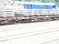 Filename=Picture_148.jpg
Filesize=127KB
Dimensions=640x480
Date added=Dec 23, 2007 Picture_148.jpg